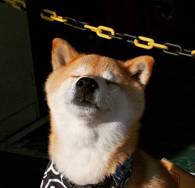 爱游戏电竞官网-《【文化传承】电竞如何成为青少年价值观的新引擎？》，如何做一个电竞