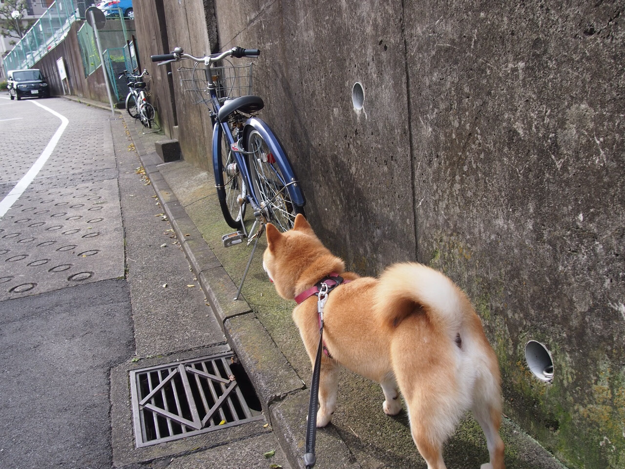 爱游戏体育平台-《跨界合作报道：电竞产品厂商与传统品牌的战略合作》，电竞合作官宣