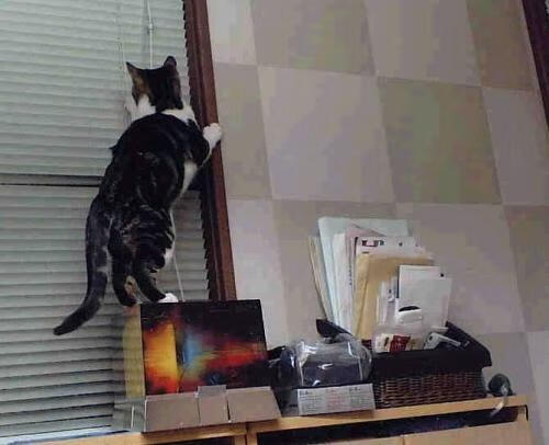 爱游戏体育（AYX）官方APP下载-沙特国家德比：C罗对决内马尔，沙特对德国比分