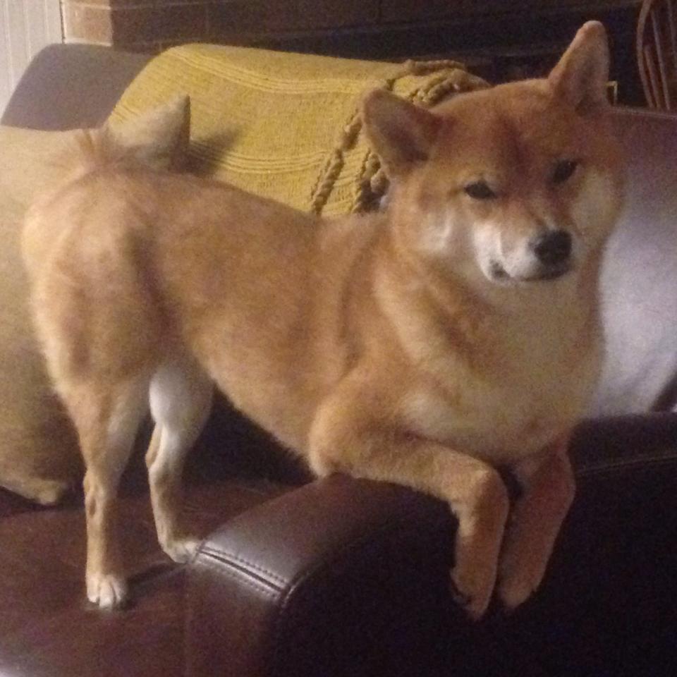 阿斯顿维拉主场0-2不敌阿斯顿维拉,争四形势严峻,阿斯顿维拉主场叫什么