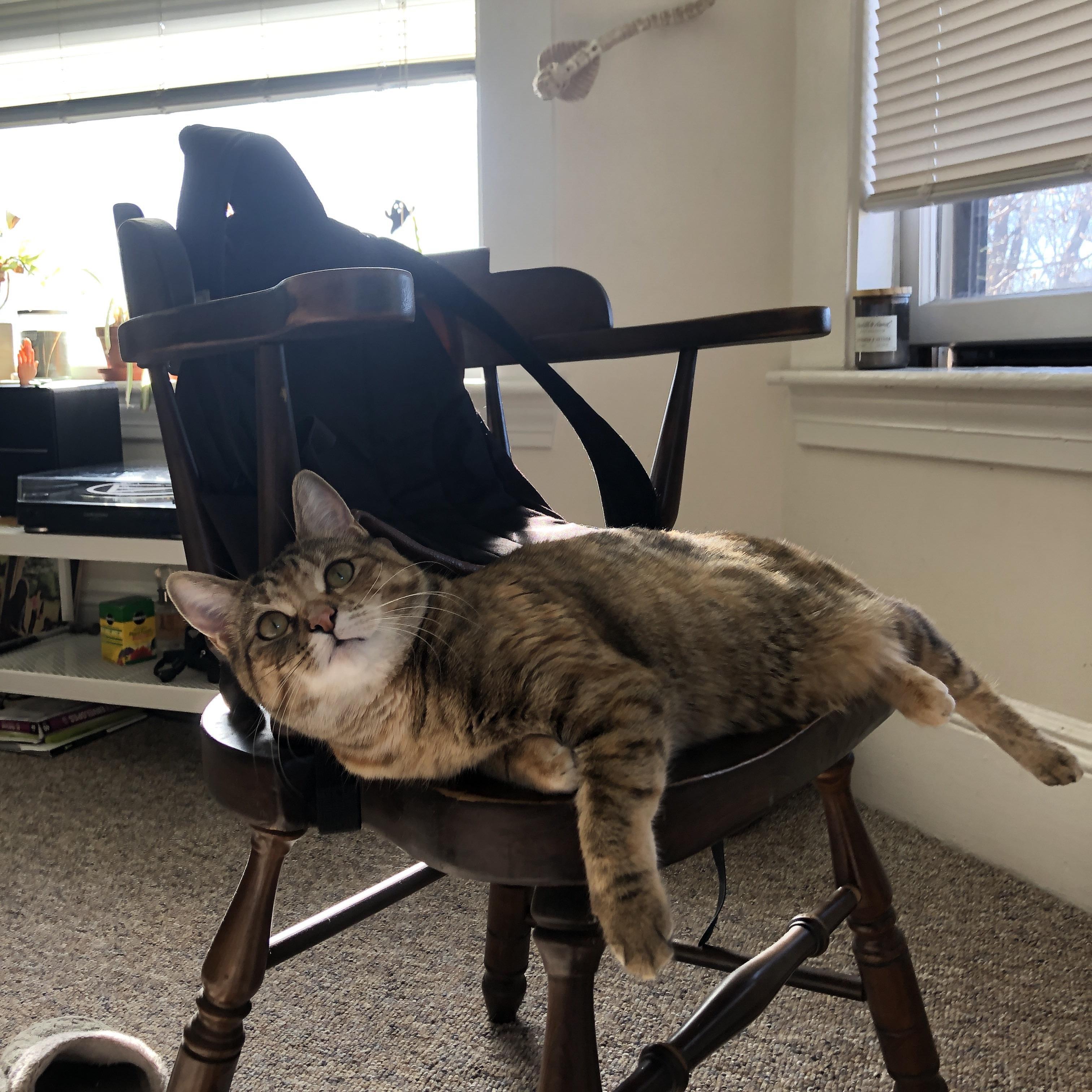 NBA球队阵容深度对背靠背赛程的抗压能力，nba背靠背对球员的影响