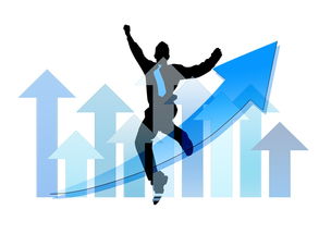 AYX体育官网-中国篮球职业俱乐部财务风险管理实践，篮球俱乐部经营与管理