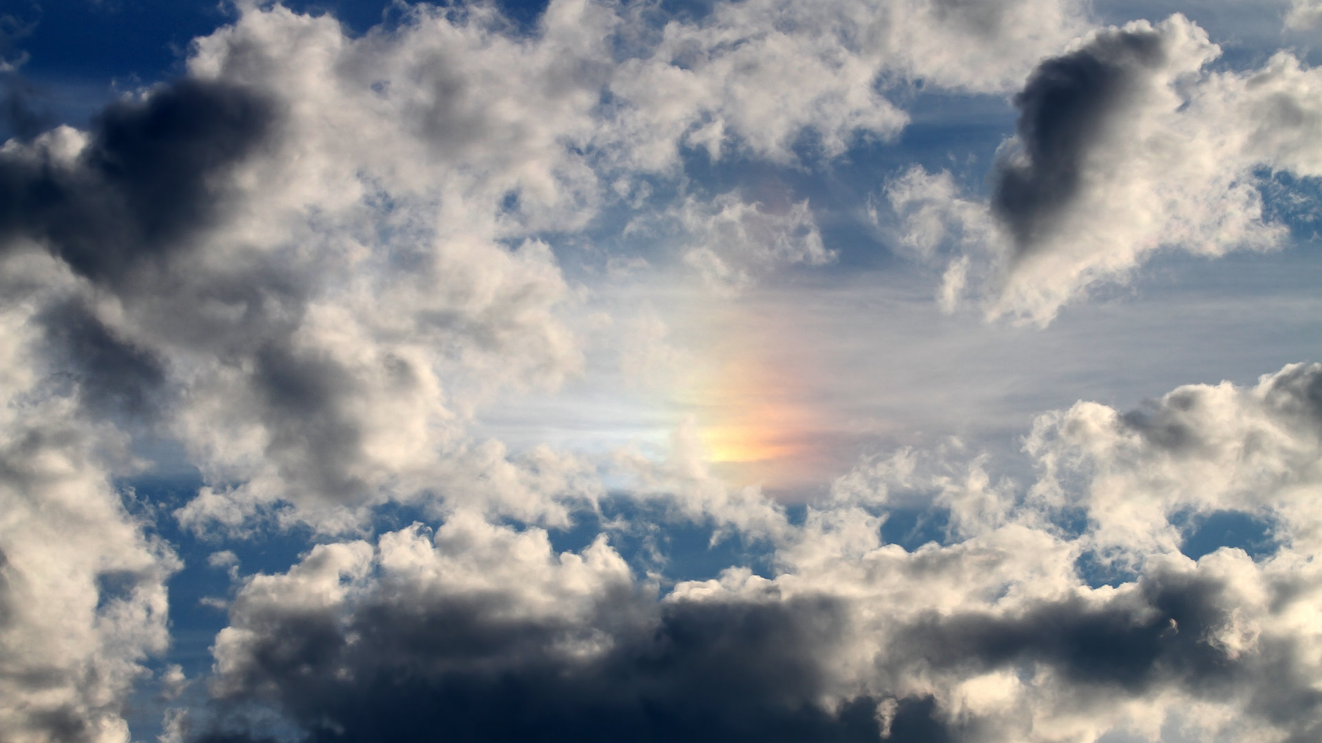 中国篮球联赛观众行为分析及市场营销策略研究,篮球比赛观众