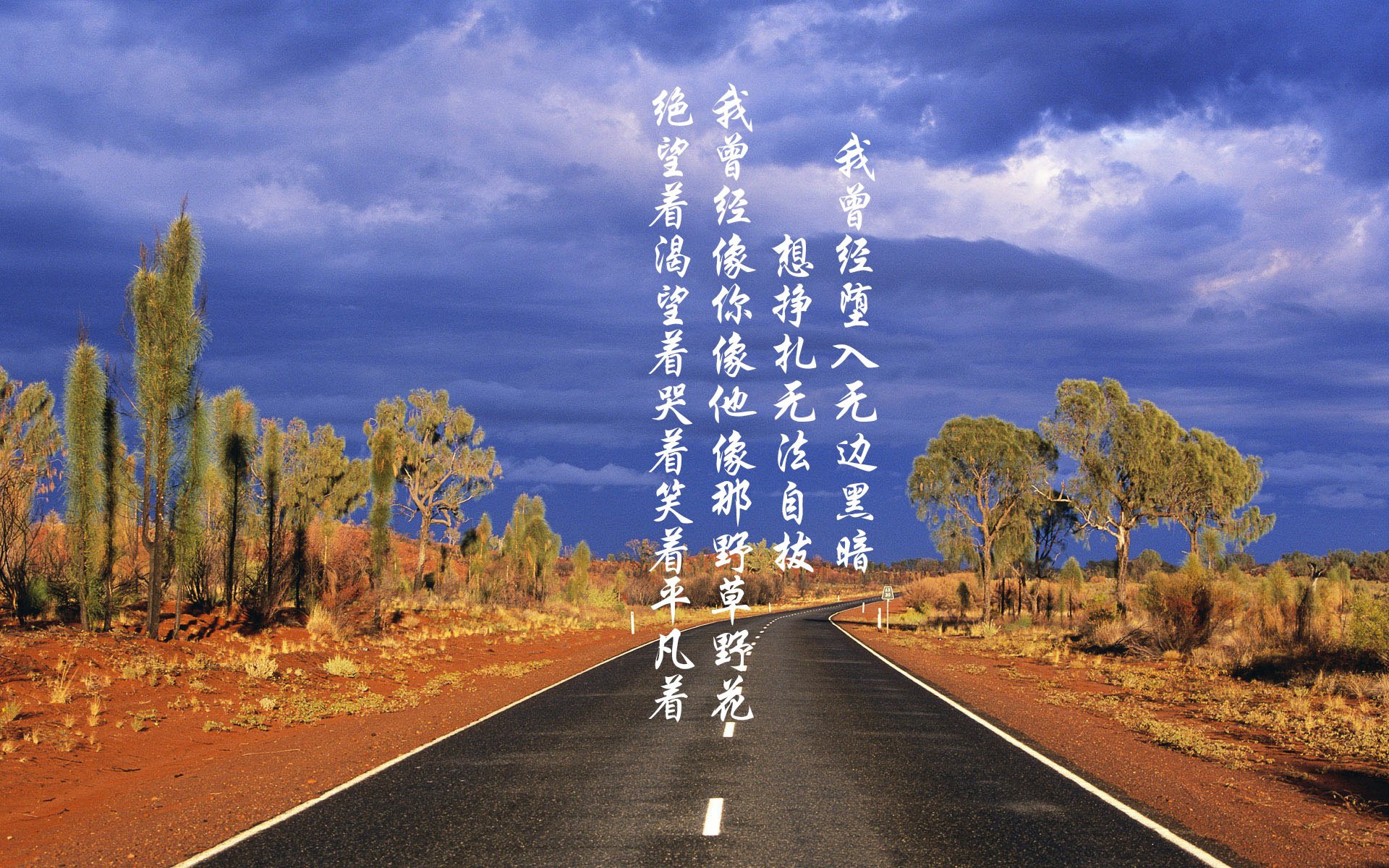 爱游戏官方网站-“武汉马拉松赛场：挑战自我，打破极限”