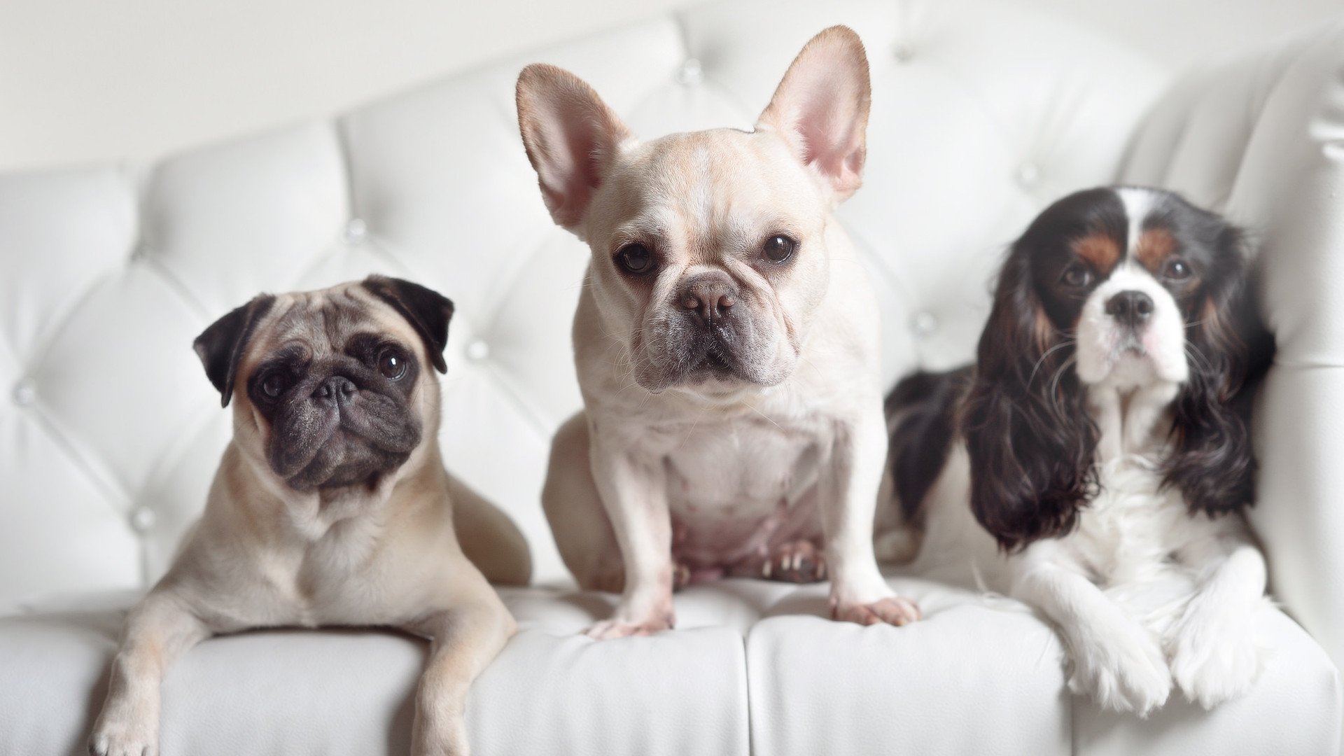 “武汉马拉松赛场:挑战自我,打破极限”