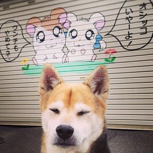 AYX体育-“新都兴城垒球：精彩瞬间不断，比赛白热化”