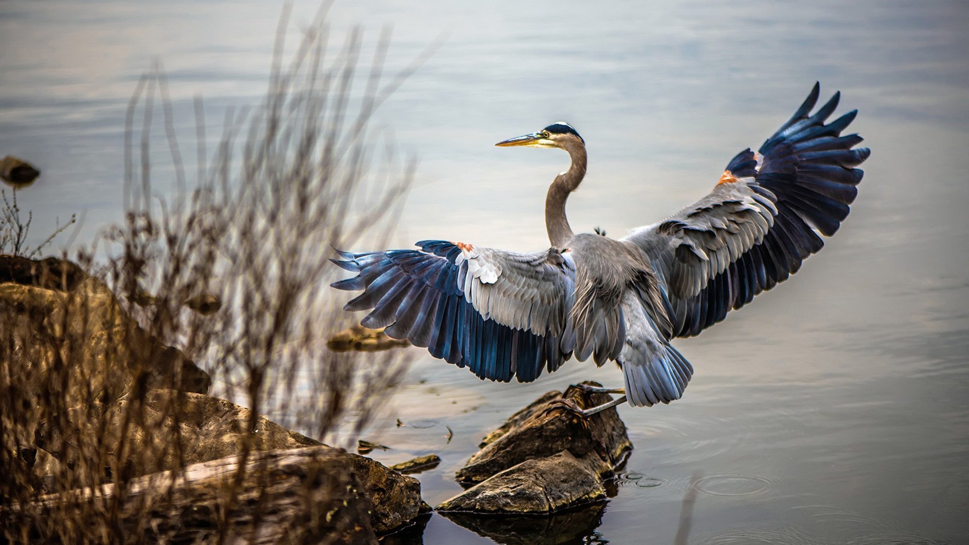 电竞城市巡回赛火爆多地选拔新星,电竞赛程