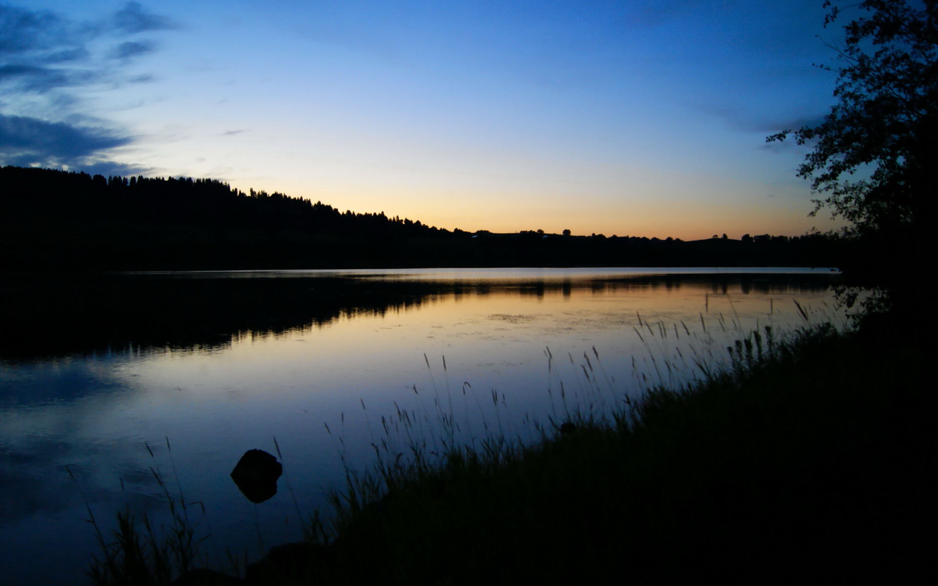 AYX体育-美国队赛制深度分析：团体赛制下如何调整战术应对变化，美国参赛队伍