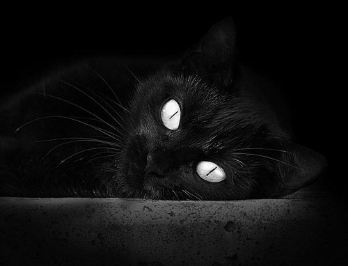 CBA推出主题主场活动提升观众互动体验,cba球队主场