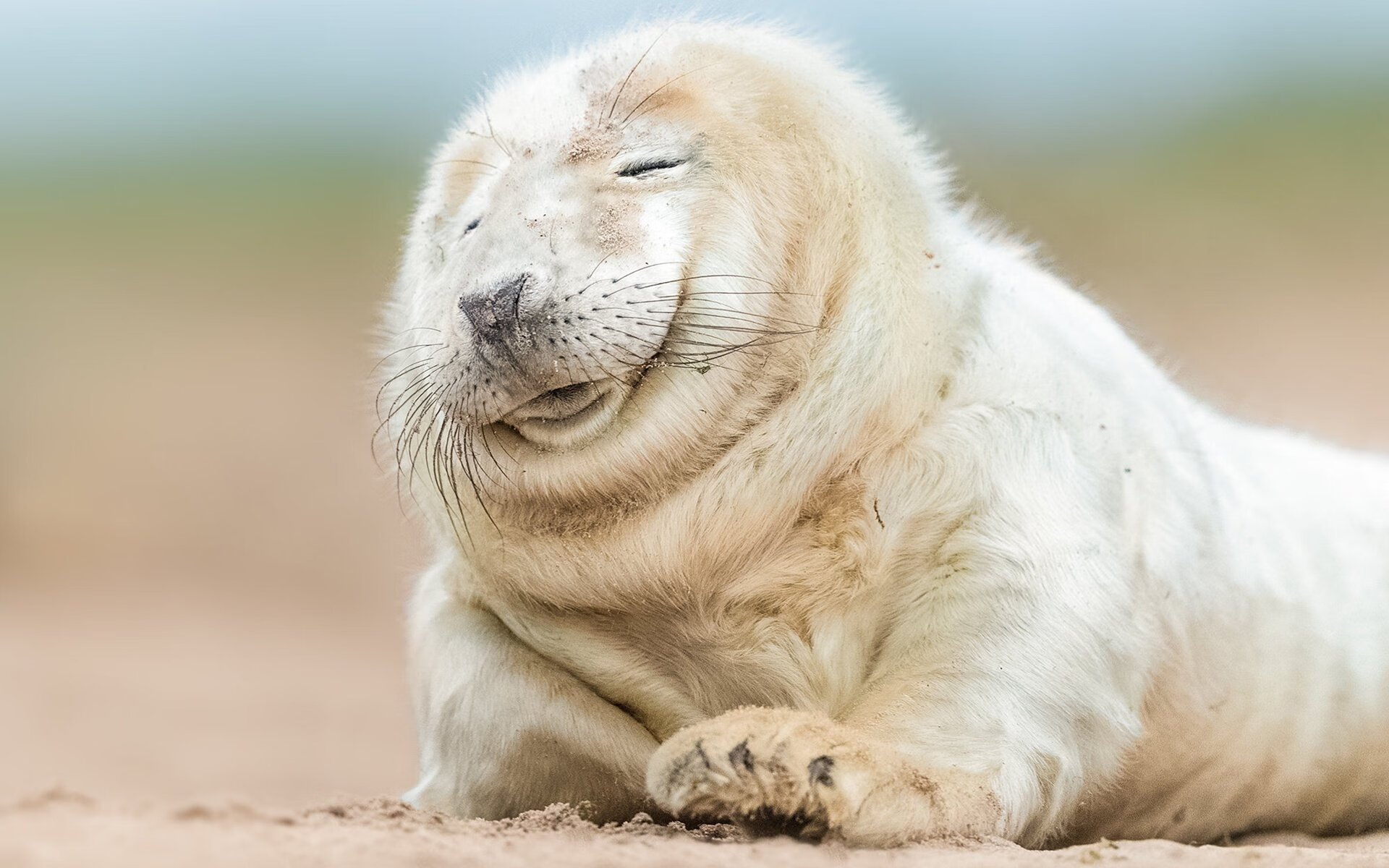 爱游戏中国官方网站平台-中国足球俱乐部联动地方社区推进青训计划，足协青训中心