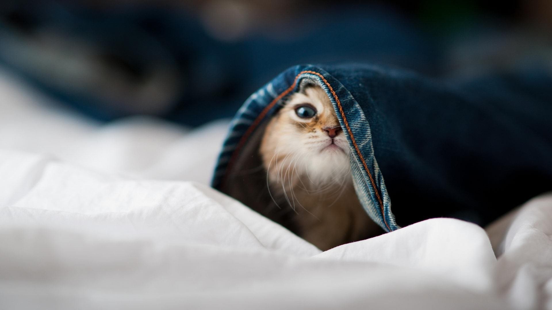 爱游戏登录入口-以足球为主题的数字创新城市空间持续丰富，打造未来城市名片，以足球为主题的创意画